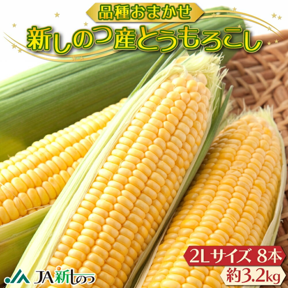【ふるさと納税】北海道 新しのつ産 とうもろこし 黄色 2L 8本 トウモロコシ とうきび イエロー コーン 旬 野菜 甘い お取り寄せ 国産 農作物 人気 BBQ JA新しのつ 送料無料 新篠津村 　お届け：2025年7月上旬～7月下旬まで随時出荷