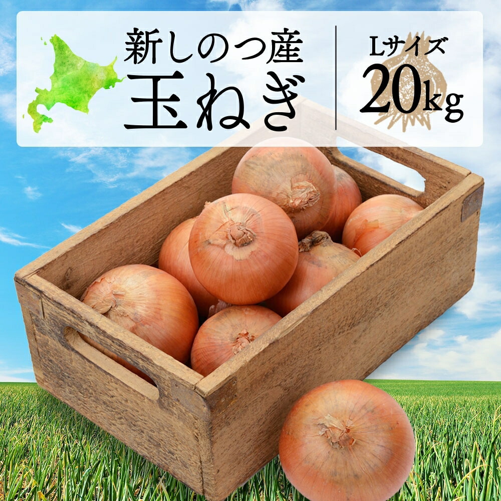 楽天市場】【ふるさと納税】北海道 新しのつ産 玉ねぎ Lサイズ 約5kg