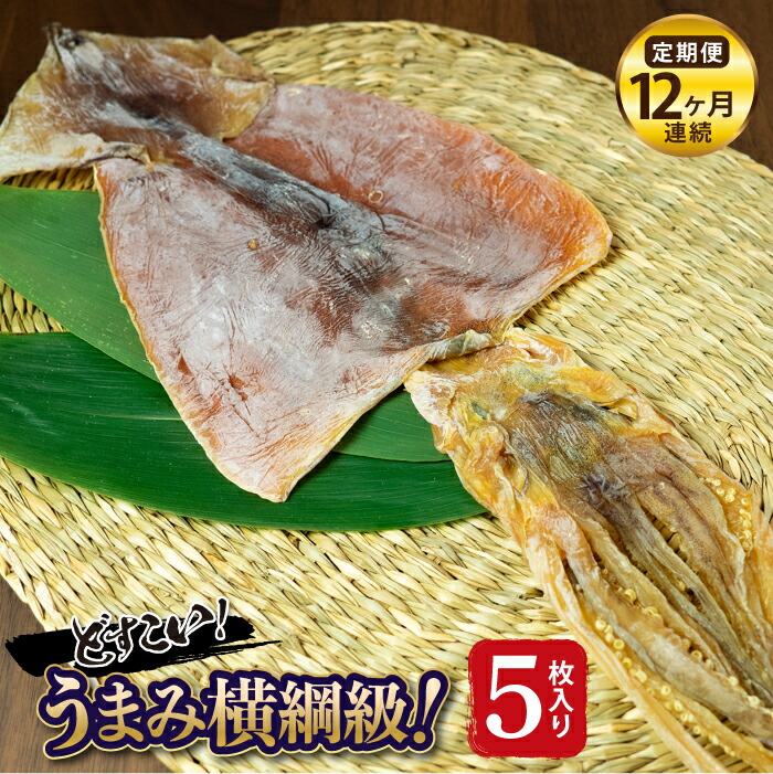 人気特価激安 楽天市場 ふるさと納税 定期便 大久吉田商店 横綱するめ5枚いり 7 9号 12ヶ月連続 北海道福島町 保証書付 Lexusoman Com