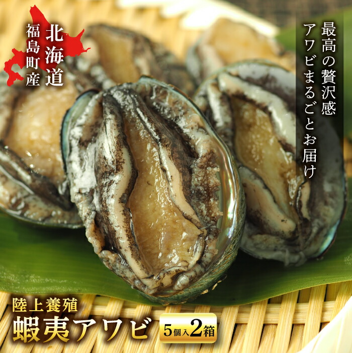 コンビニ受取対応商品 北海道福島町 陸上養殖 蝦夷アワビ 5個入 2箱 最安値挑戦 Vancouverfamilymagazine Com
