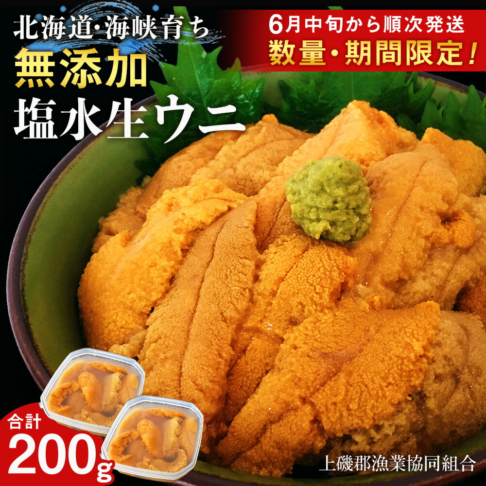 <BR>【ふるさと納税】【2025年6月中旬以降発送】 キタムラサキウニ 100g×2パック 上磯郡漁業協同組合<BR><BR>むらさきうに  塩水ウニ 塩水パック 無添加 知内町 ふるさと納税 北海道ふるさと納税 ウニ 北海道産ウニ うに 雲丹