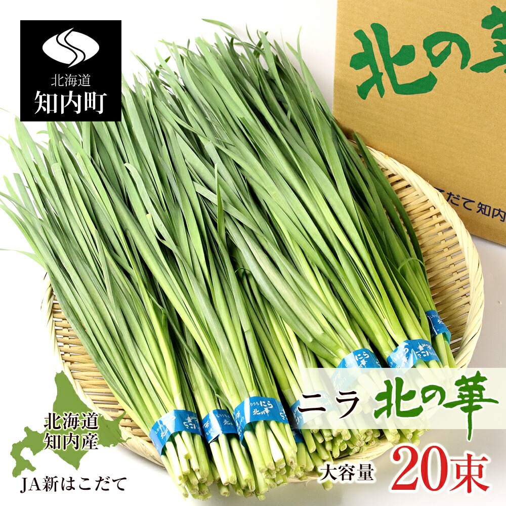 ふるさと納税 22年歳送付けるリザーブ ニラ ノースの開花 風呂敷包み 3 5月読発送 Ja真新しいはこだて ニラ ベジタブル にら 北海道作成 北の華 知内小さな町 ふるさと納税 Vv001 Glaeschig De