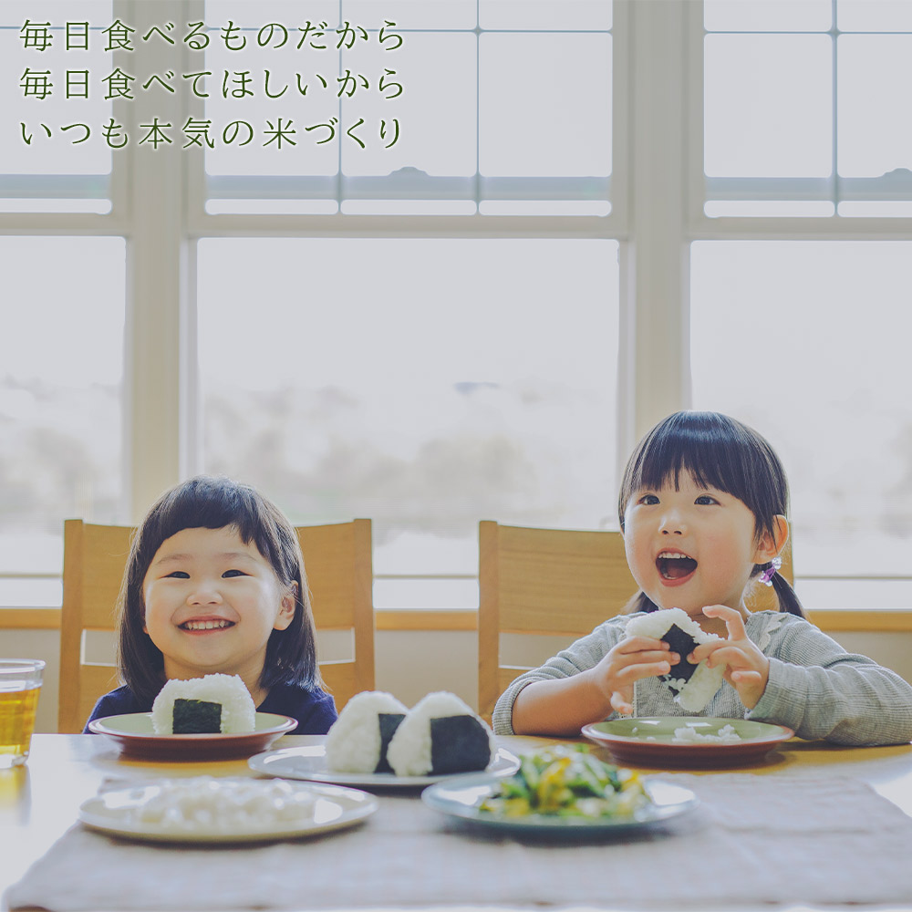 お米 定期便 ☆12カ月定期便☆「ゆめぴりか 10kg」特別栽培米産地直送《帰山農園》知内町 ふるさと納税 米  こめ 北海道産お米  北海道米 美味しいお米 北海道産米  道産米 ふるさと納税 秋 旬