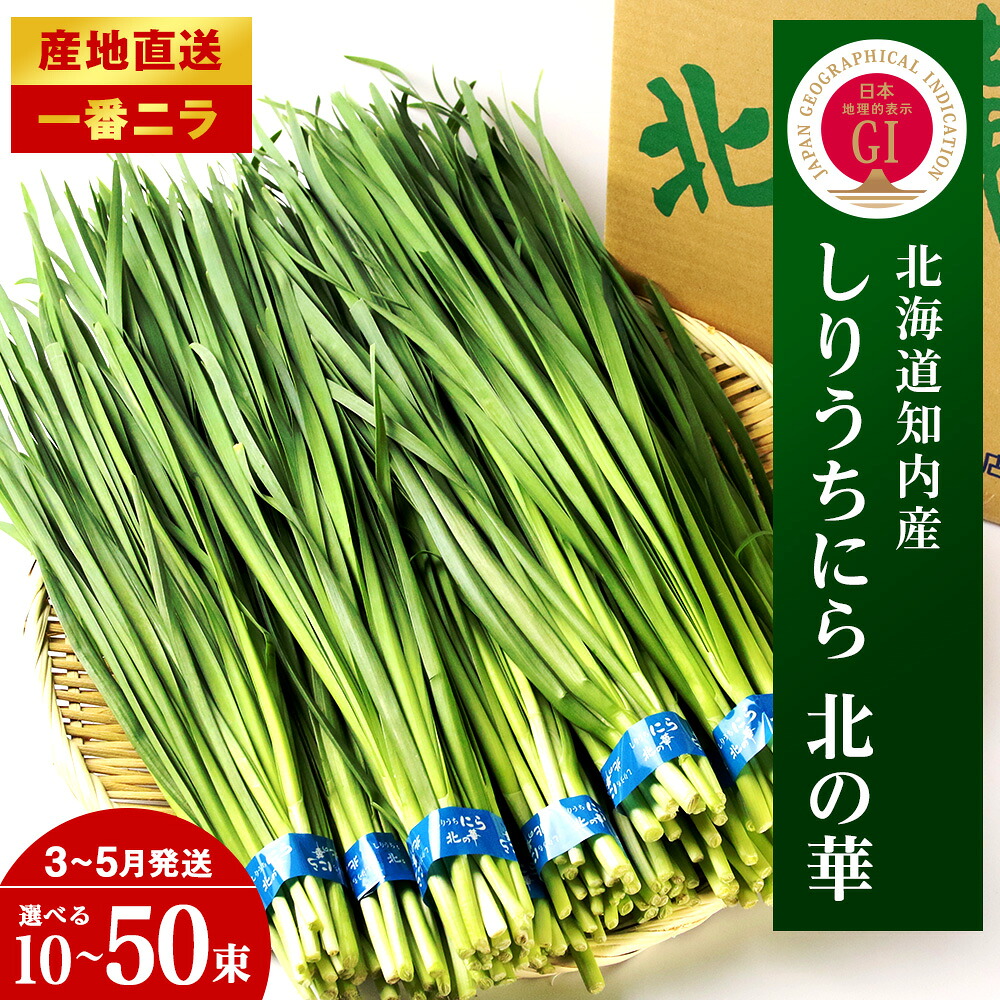 【ふるさと納税】【2027年発送予約】知内産 1番ニラ!!「北の華」選べる10束~50束【JA新はこだて】ニラ 野菜 にら 北海道産 北の華 知内町 ふるさと納税|北海道知内町