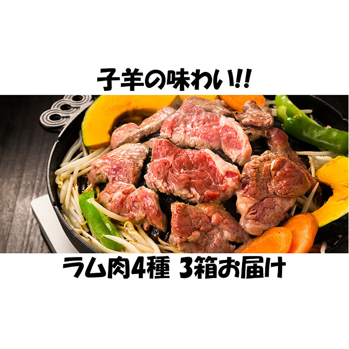 豪華 楽天市場 ふるさと納税 子羊の味わい 4種のラム肉 3箱セット 定期便 お肉 羊肉 ラム肉 肉の加工品 北海道木古内町 正規店仕入れの Jurnalselulosa Org