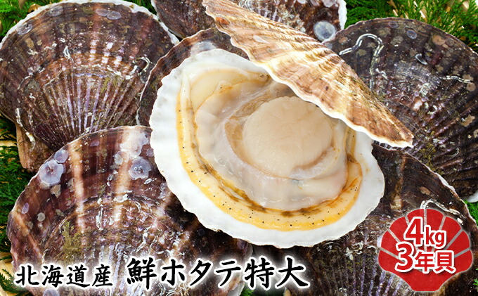 市場 ふるさと納税 4kg 特大 ホタテ 3年貝 魚貝類 帆立 北海道産 鮮ホタテ特大 新鮮