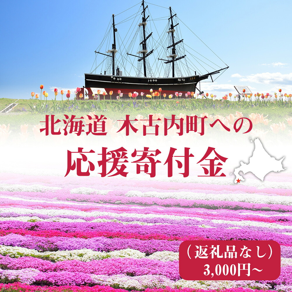 【ふるさと納税】北海道 木古内町☆応援寄付金☆ 選べる応援寄付金【返礼品なし】北海道ふるさと納税 木古内町 ふるさと納税 北海道 寄付のみ 返礼品なし|北海道木古内町