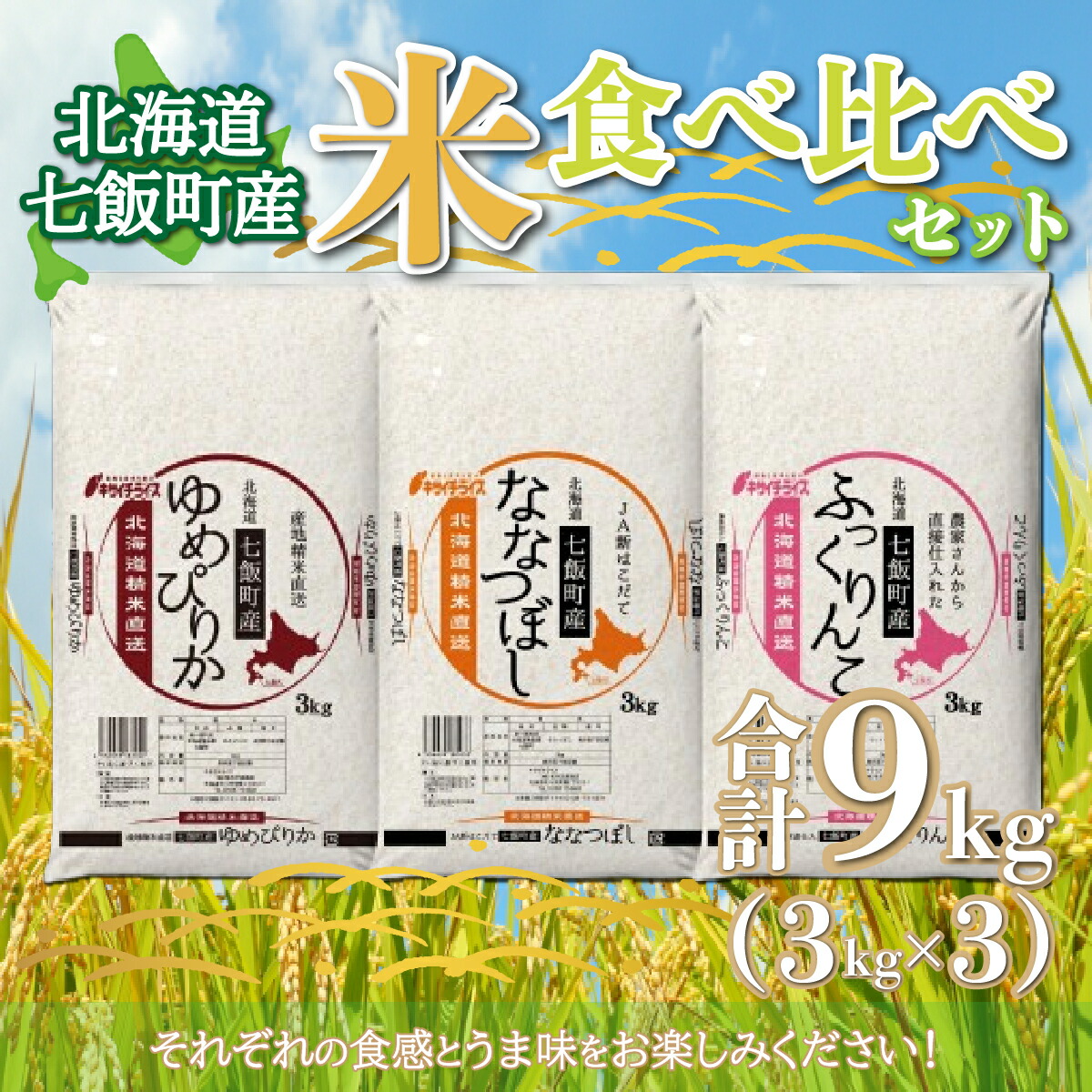 【ふるさと納税】 北海道七飯町産米食べ比べセット3kg×3 【 ふるさと納税 人気 おすすめ ランキング 七飯町産 ゆめぴりか ふっくりんこ ななつぼし 食べ比べ セット 北海道 七飯町 送料無料 】 NAAQ001