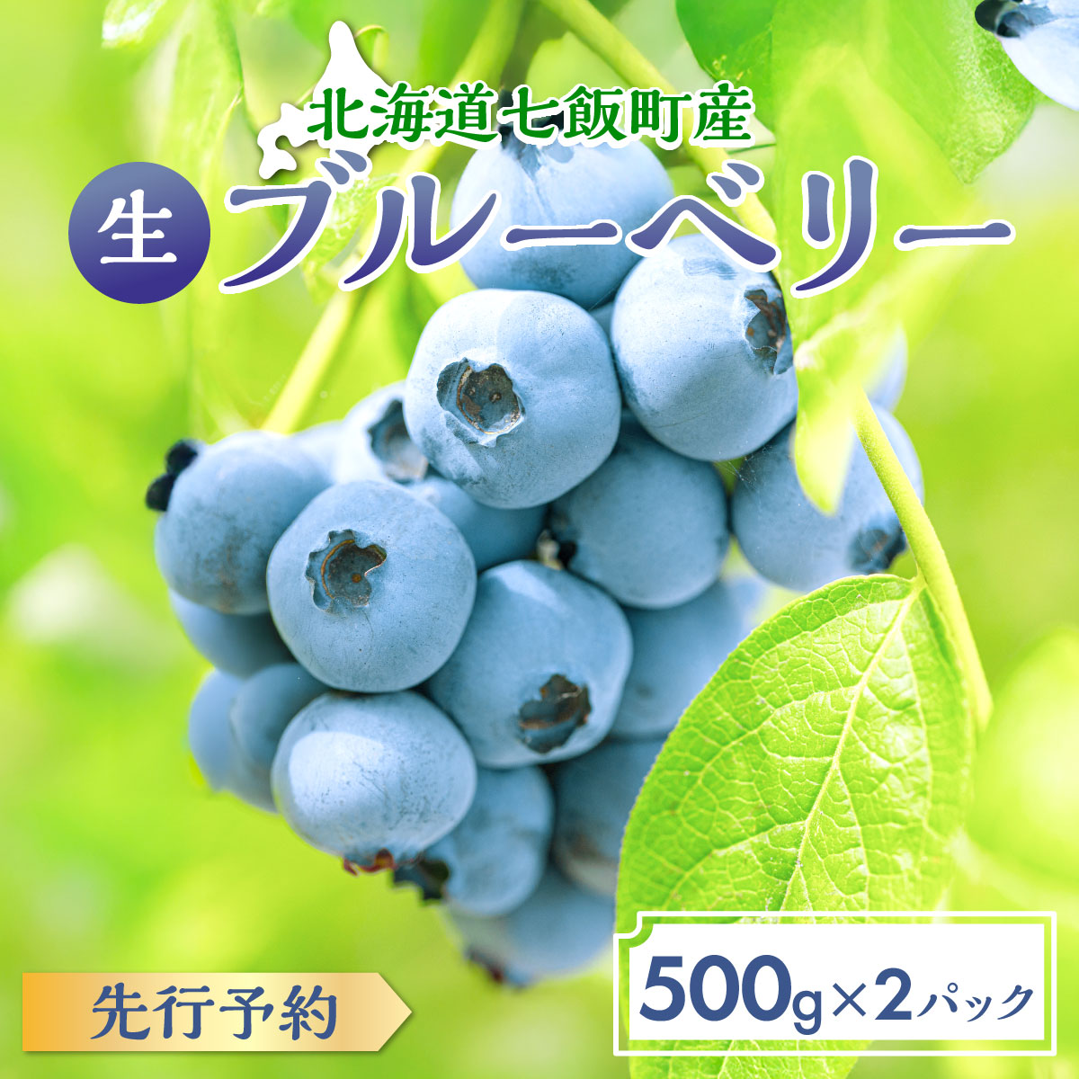 【ふるさと納税】【先行予約】 令和7年7月下旬頃より発送  北海道七飯町産 生ブルーベリー 500g×2パック 【 生ブルーベリー 旬 フルーツ 季節限定 おいしい 甘酸っぱい 北海道 七飯町 送料無料 】 NAR001
