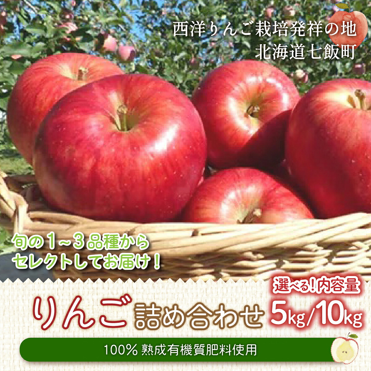 【ふるさと納税】【先行予約 令和8年8月発送】北海道七飯町産 りんご 5kg 10kg 選べる 甘みたっぷり 有機質肥料使用 林檎 フルーツ 果物 北海道産｜北海道七飯町