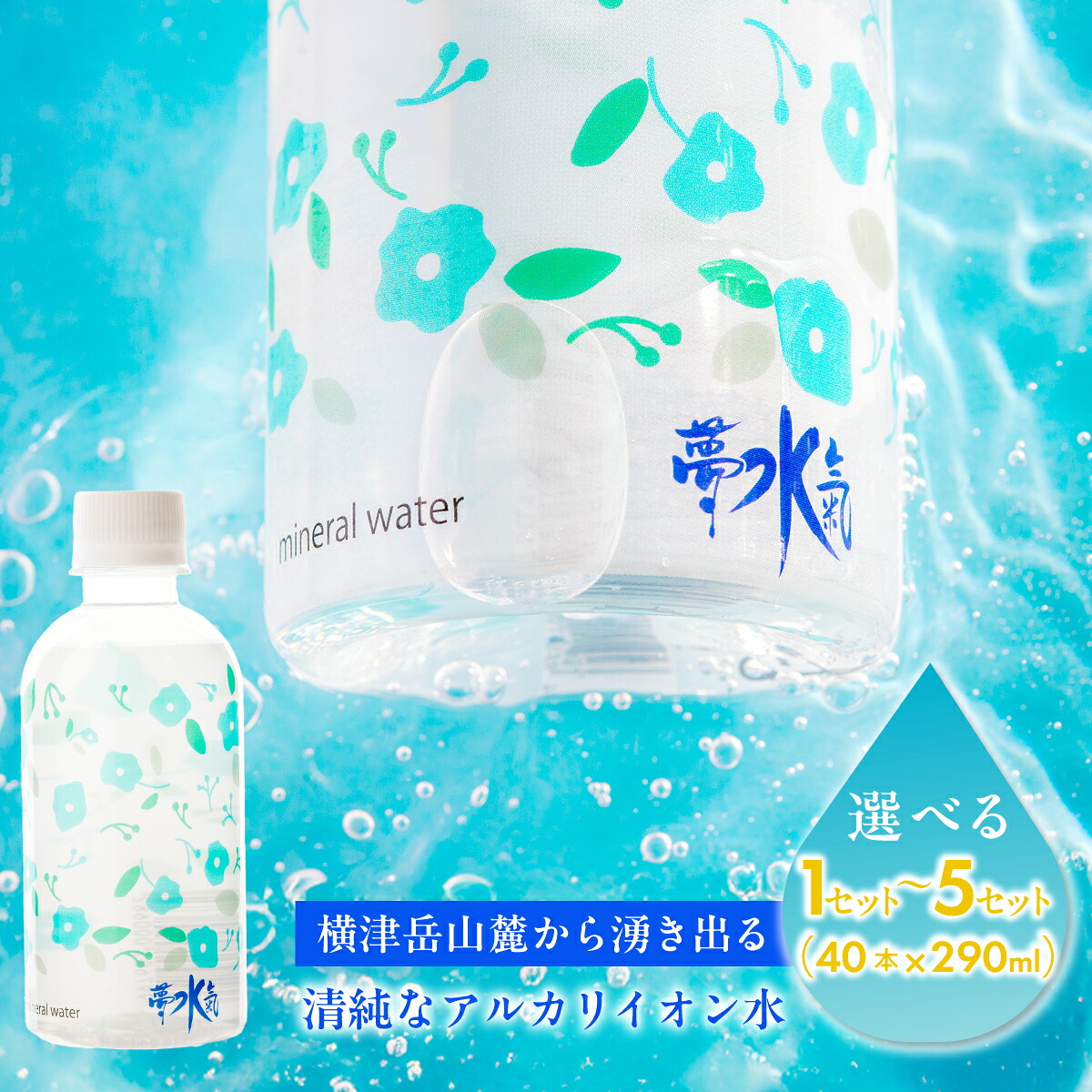 【ふるさと納税】ミネラルウォーター夢水氣(290ml×40本)選べる本数 天然アルカリイオン水 軟水 天然水 ミネラルウォーター 飲料水 自然 ペットボトル アルカリイオン 水 みず 飲料水 防災 備蓄 備え|北海道七飯町