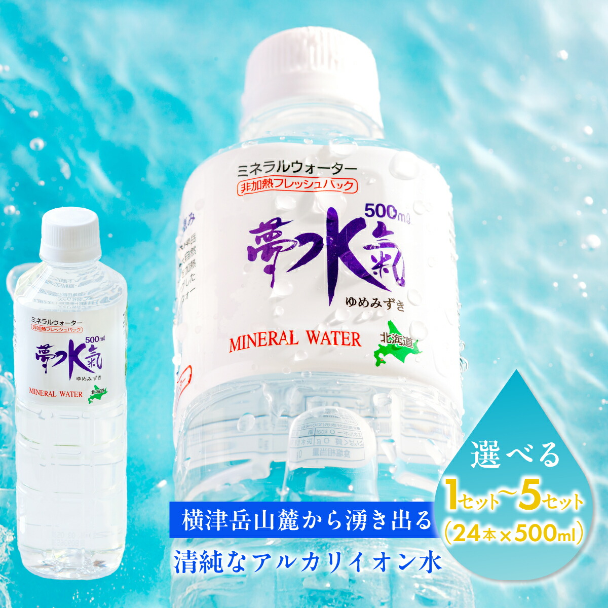 【ふるさと納税】ミネラルウォーター夢水氣（500ml×24本）選べる本数 天然アルカリイオン水 軟水 ミネラルウォーター 天然水 ミネラルウォーター 飲料水 軟水 自然 ペットボトル アルカリイオン 水 みず 飲料水 防災 備蓄 備え