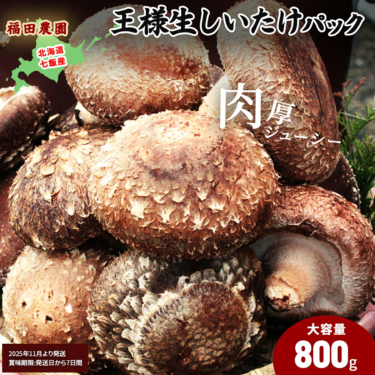 【ふるさと納税】有機JAS認証 王様生しいたけ 大容量800g 北海道七飯町産 福田農園の肉厚ジューシーオーガニック椎茸|北海道七飯町