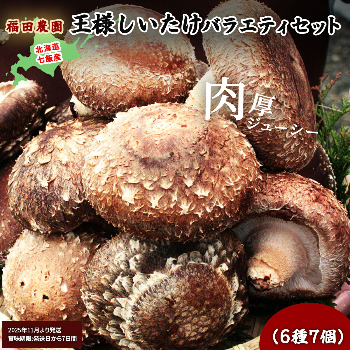 【ふるさと納税】ゴールデンサンマッシュ賞受賞 有機JAS認証 王様しいたけセット (生・干し・スライス・粉・だし・ふりかけ) 福田農園 北海道七飯町産|北海道七飯町