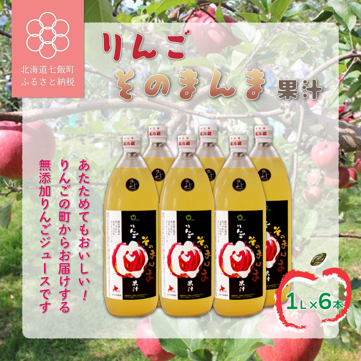 【ふるさと納税】無添加 りんご果汁100% 1L×6本セット りんごジュース ストレート果汁 北海道七飯町