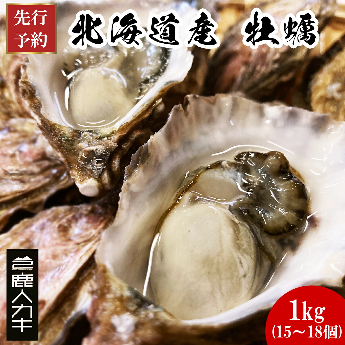 【ふるさと納税】 【先行予約】 2027年6月中旬頃発送発送開始！ 生牡蠣 1kg 15～18個 殻付き 生カキ 北海道産 牡蠣 カキ かき 鹿人カキ シングルシード 生牡蠣 魚介類 海鮮 海産物 送料無料｜北海道鹿部町