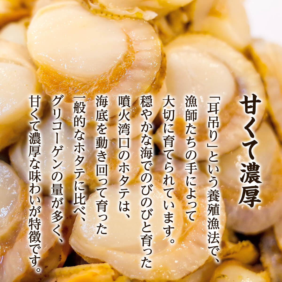 鹿部町 北海道鹿部町さっと加えるだけで極上シーフードが完成 大人気のボイルホタテにssサイズが登場 帆立 海鮮 魚介類 ふるさと納税 魚 ボイルベビーホタテ 加熱用 Ssサイズ 1kg 3袋 1袋あたり0 300個 北海道産 ほたて ホタテ ベビーホタテ ベビー