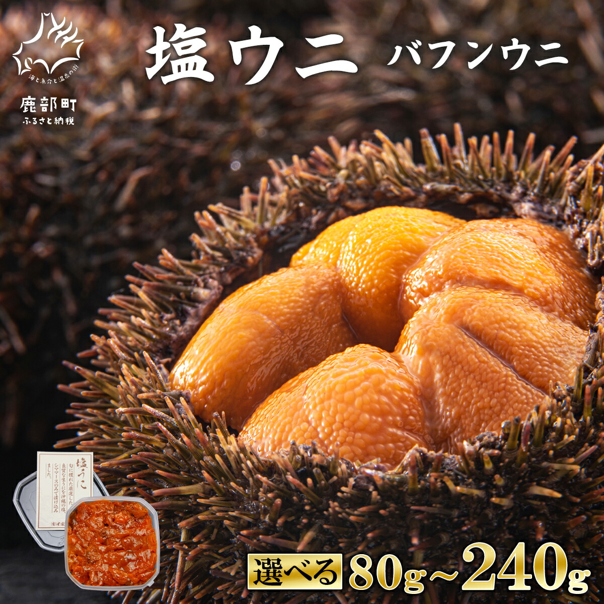 【ふるさと納税】 【選べる内容量】 ウニ  バフンウニ 80g～240g 塩ウニ 塩蔵うに ミョウバン不使用 うに ごはんのお供 うに丼 海鮮丼 パスタ おにぎり 珍味 魚介 冷凍 送料無料