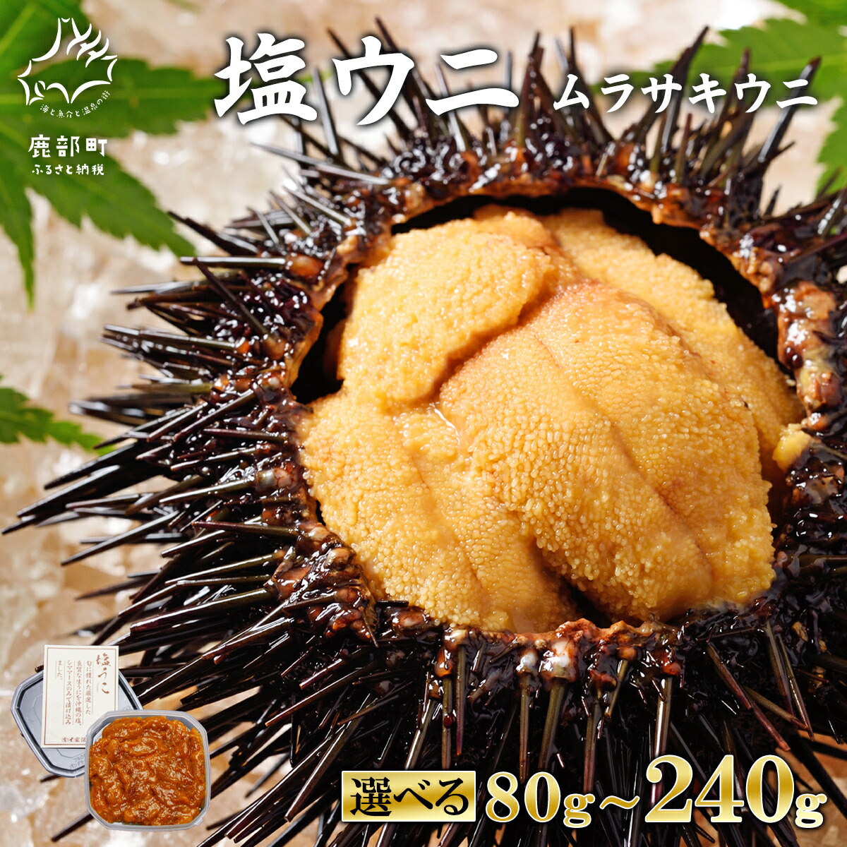 【ふるさと納税】 【選べる内容量】 ウニ  ムラサキウニ 80g～240g 北海道産 塩ウニ 塩蔵うに ミョウバン不使用 うに ごはんのお供 うに丼 海鮮丼 パスタ おにぎり 珍味 魚介 冷凍 送料無料