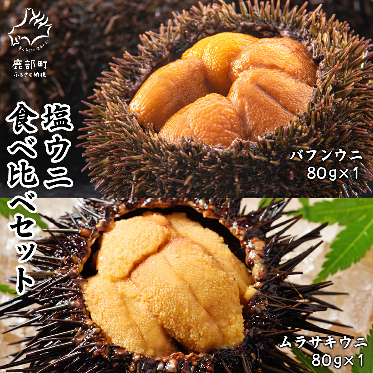 【ふるさと納税】ウニ  食べ比べ バフンウニ ムラサキウニ 80g×2P 塩ウニ 塩蔵うに セット ミョウバン不使用 ごはんのお供 うに丼 海鮮丼 パスタ おにぎり 珍味 魚介 冷凍 送料無料