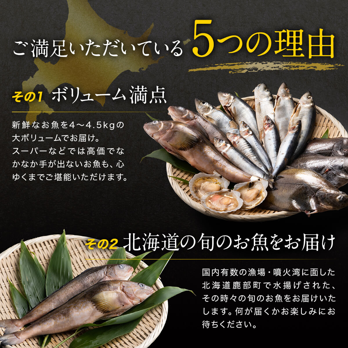 楽天市場 ふるさと納税 訳あり 鮮魚セット 4 4 5kg 漁師応援プロジェクト 魚介類 冷凍 コロナ対策 海鮮 海産 詰め合わせ 魚 北海道鹿部町