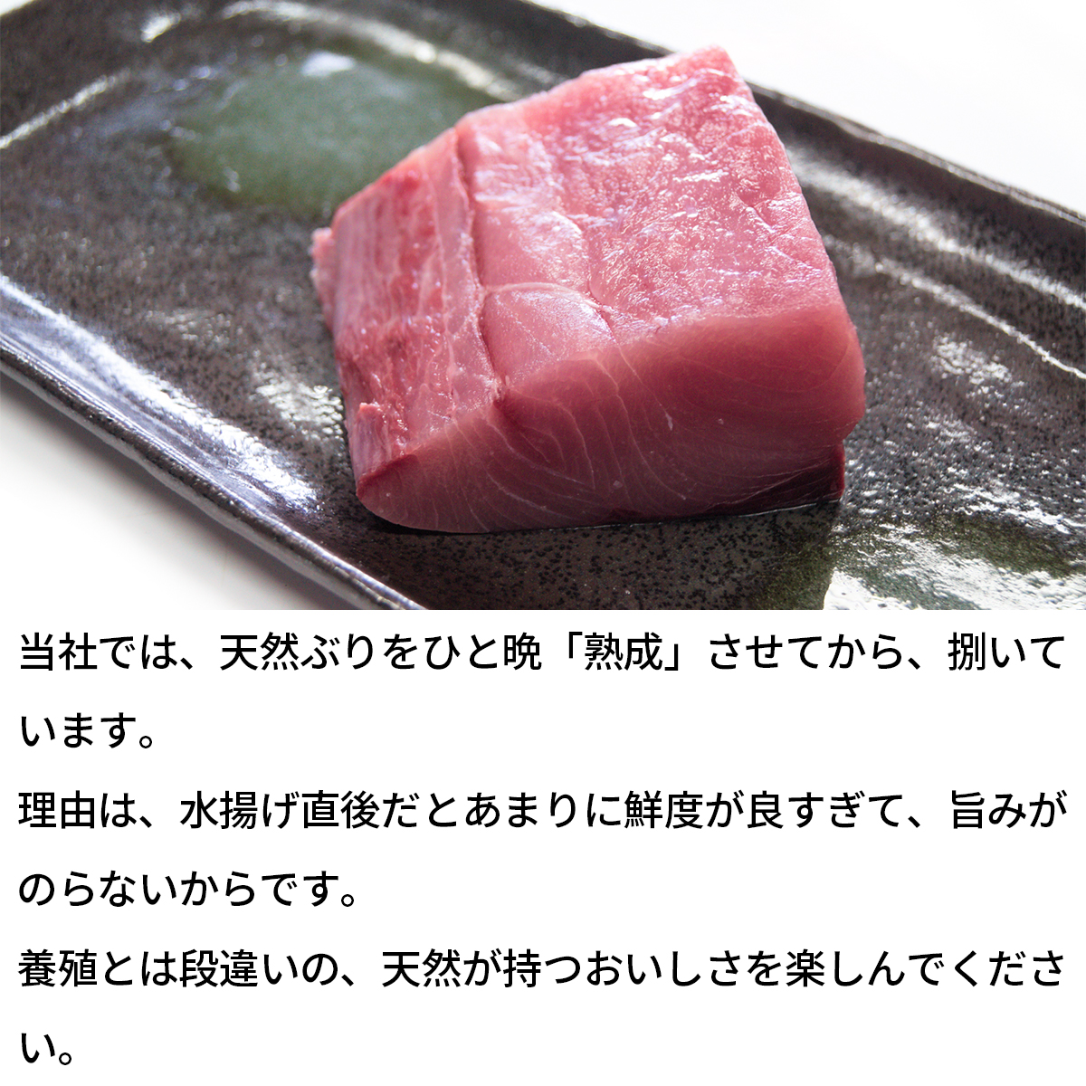 ふるさと納税 北海道産 天然ブリのお刺身用 柵 半身セット 約1 6kg 1 9kg 冷凍 鰤 刺身 Kanal9tv Com