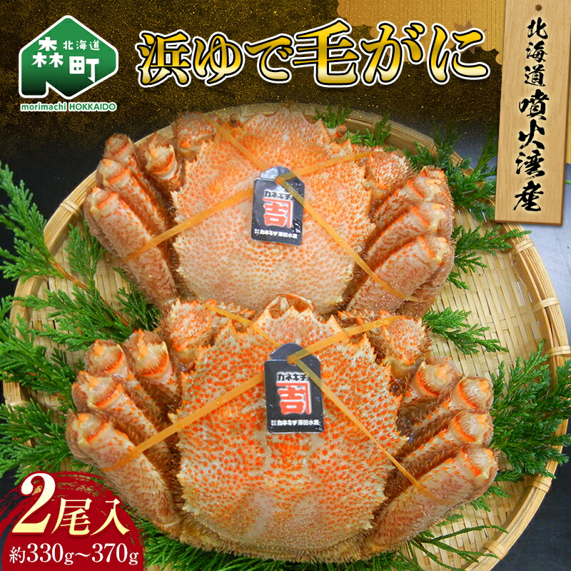 【ふるさと納税】北海道噴火湾産「カネキチ」浜ゆで毛がに 2尾入 約330g～370g＜カネキチ澤田水産＞ かに カニ 蟹 ガニ がに 森町 ふるさと納税 北海道 毛蟹 毛かに 毛ガニ 毛カニ mr1-0152