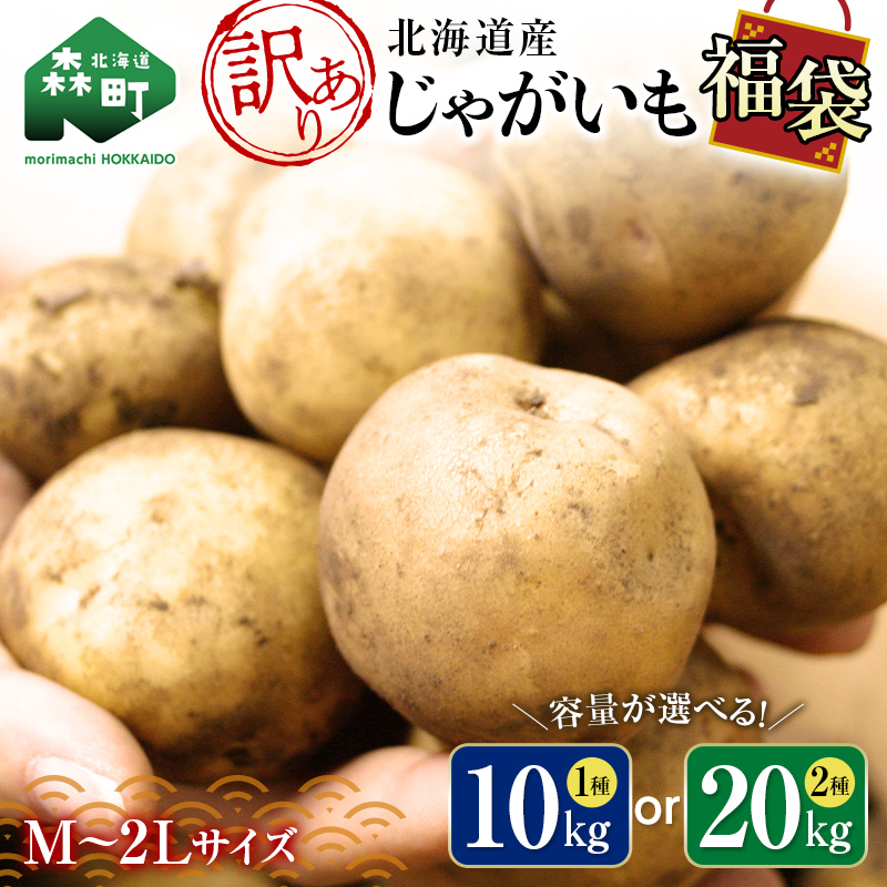 【ふるさと納税】【先行予約】 ＜容量が選べる＞【訳あり】北海道森町産 じゃがいも福袋 10kg or 20kg （2025年8月上旬～12月中旬までに順次お届け） 野菜 ジャガイモ きたあかり だんしゃく 男爵 とうや メークイン ポテト 北海道 セット 詰め合わせ 7500円 mr1-0508