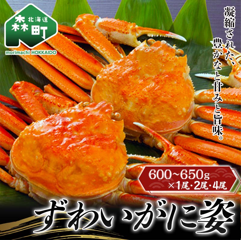【ふるさと納税】ずわいがに姿 約600～650g前後 【選べる容量】【選べる発送月】1尾 2尾 4尾 順次発送 ＜ワイエスフーズ＞ かに カニ 蟹 ガニ がに 森町 ふるさと納税 北海道 ずわいがに ずわいかに ズワイガニ mr1-0683