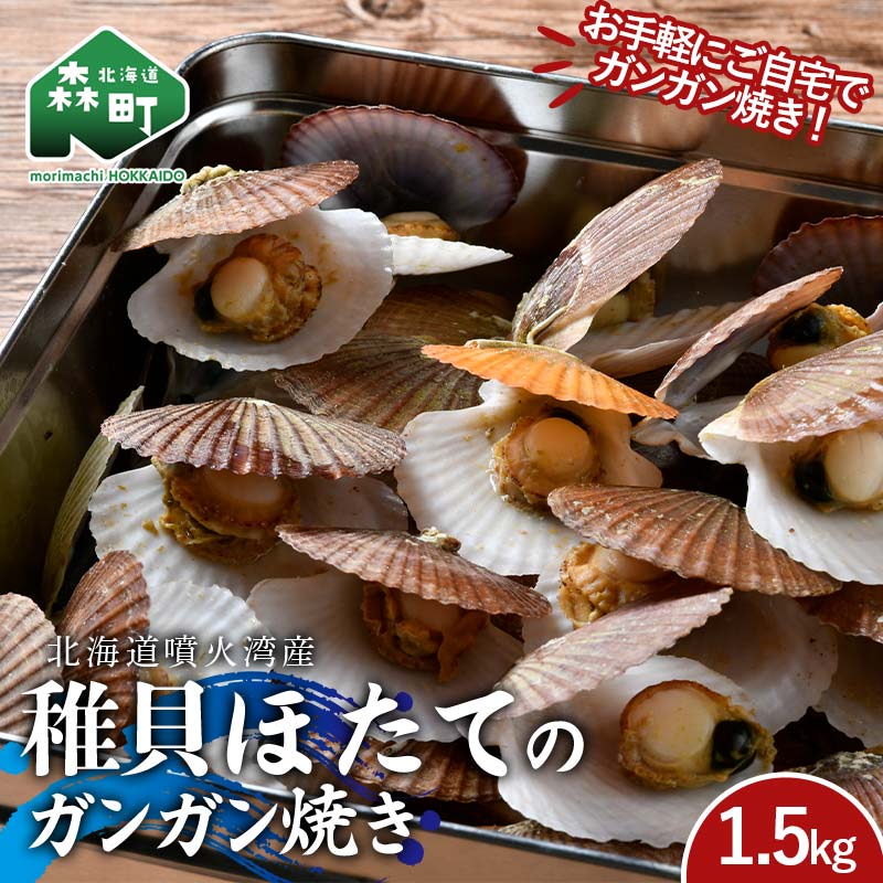 【ふるさと納税】 冷凍稚貝ほたて ガンガン焼き 1.5kg 北海道噴火湾産 海産物 加工品 ほたて 帆立 ホタテ 魚介類 海鮮 森町 ふるさと納税 mr1-0981
