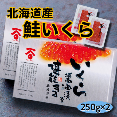 楽天市場】【ふるさと納税】いくら醤油漬け 110g×5パック【2セット