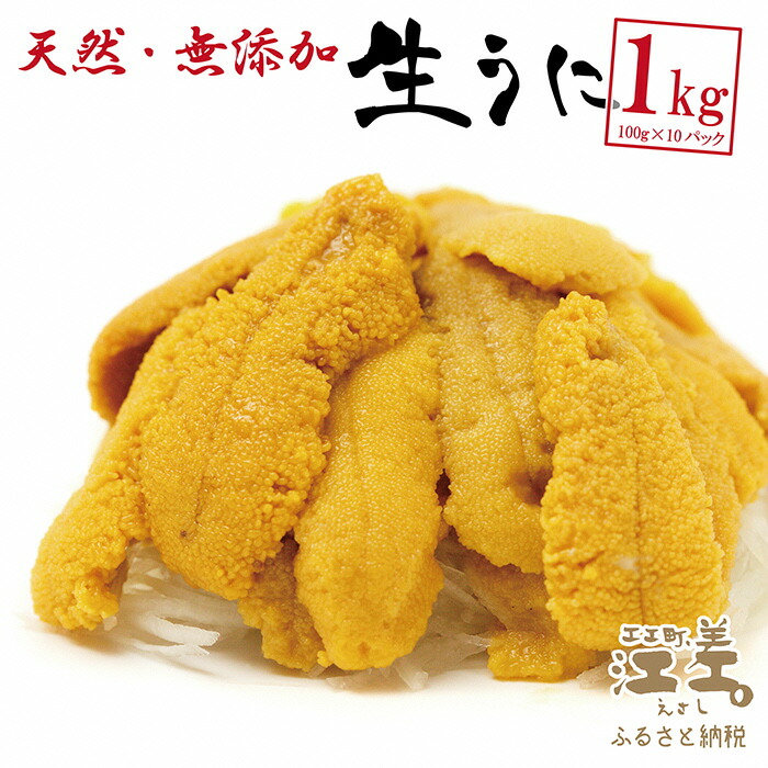 《 5月〜順次発送》北海道 江差前浜産 生うに 1kg(100g × 10パック)江差産キタムラサキウニ 日本海熊石産海洋深層水 塩水ウニ 素材を生かした自然の味 採れたて新鮮 とろける美味さ 国産