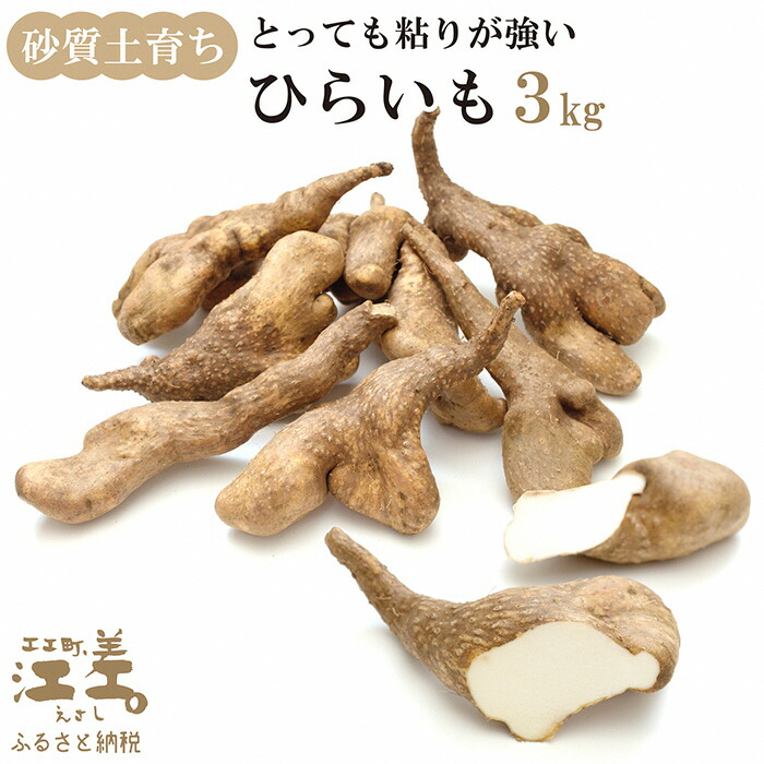 【ふるさと納税】【早期予約 10月より順次出荷予定】北海道産 ひらいも  3kg　砂質土育ち とっても粘りが強い 北海道の山芋　もちもち食感　露地もの　無漂白　ねばり芋　やまと芋　長芋　自然薯　山かけ　とろろ　いももち　豚汁
