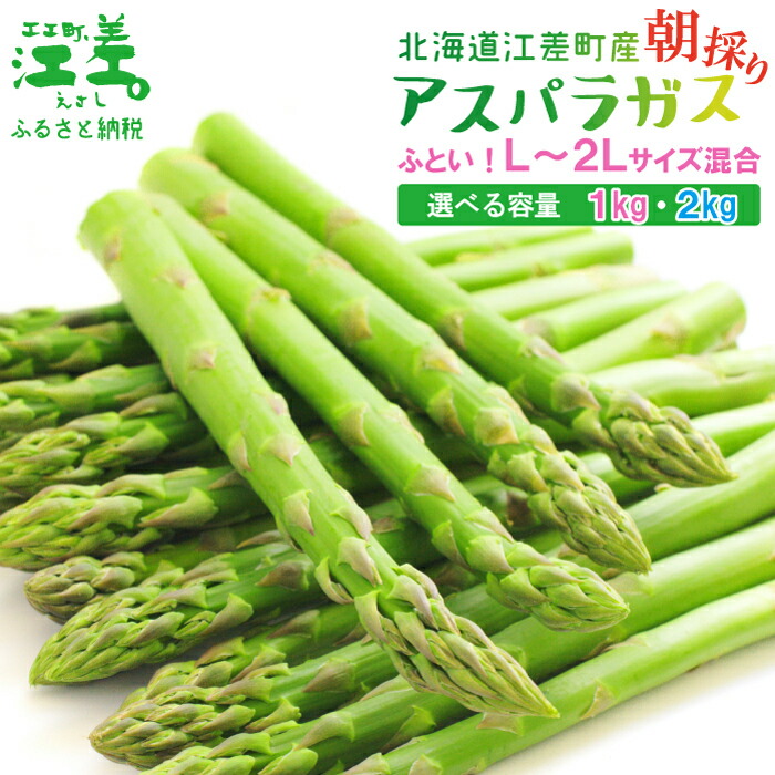 【ふるさと納税】《夏芽 予約受付 6月中旬～順次出荷》 2025年 北海道江差町産 アスパラガス L～2Lサイズ〈選べる容量 1kg・2kg〉 1kgあたり約20本　太い！ 甘い！ ジューシー！　朝採り　農家直送　新鮮　鮮度保持　北海道　旬野菜　グリーンアスパラ　ギフト　贈答