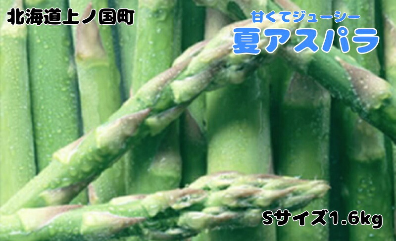【ふるさと納税】【2026年夏発送】寅福菜園の朝採り夏アスパラ　S（1.6kg）　朝採れ　農家直送　新鮮　グリーンアスパラ　夏野菜　旬野菜　シャキシャキ　とれたて　北海道産｜北海道上ノ国町 7,700円