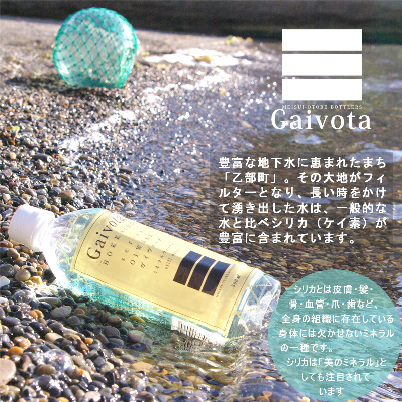 新作製品、世界最高品質人気! 定期便 Gaivota 500ml ×24本 2L ×6本 各1箱 計6回配送 北のハイグレード食品 シリカ水  ミネラルウォーター シリカウォーター 軟水 北海道 乙部町 天然水 美容 ケイ素 無添加 美のミネラル シリカ ガイヴォータ 美肌 コーヒー  リピーター 6か ...