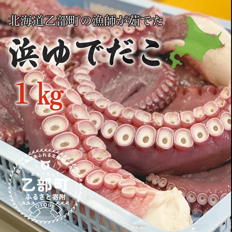 【ふるさと納税】＜漁師の浜ゆでたこ1kg＞北海道 道産 乙部町 乙部町産 蛸 タコ たこ足 タコ 刺身 唐揚げ おかず おつまみ 真空パック お土産 グルメ 国産 食品 海鮮 人気 おすすめ