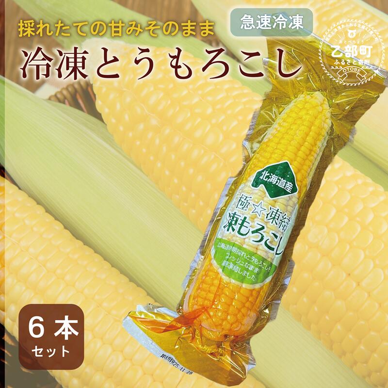 【ふるさと納税】＜ささや農園産 極★凍結とうもろこし 6本＞北海道 道産 国産 乙部町 とうもろこし とうきび 冷凍 急速冷凍 鮮度そのまま 甘さ 糖度 個包装 ゴールドラッシュ 恵味ゴールド