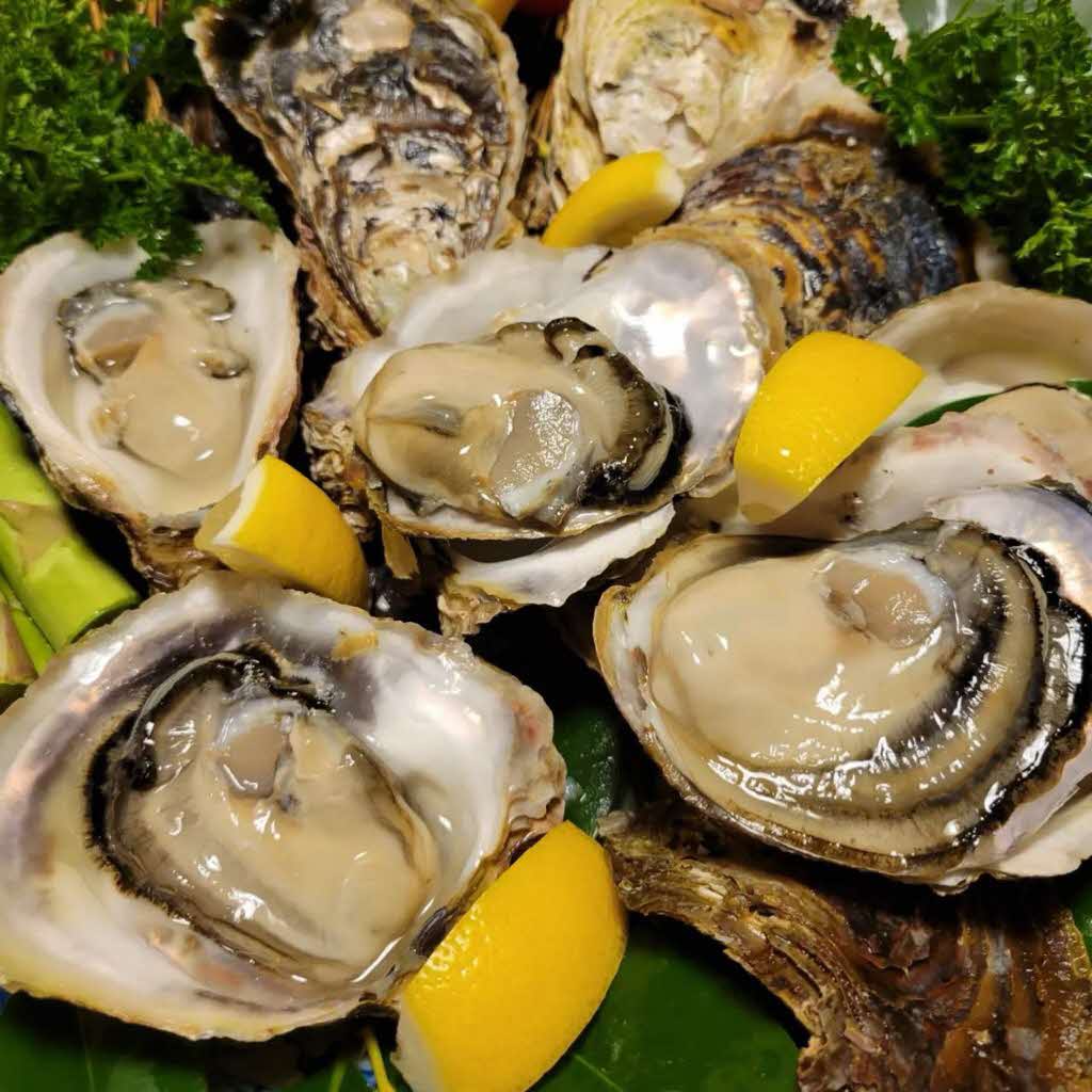 【ふるさと納税】【先行予約 2026年7月20日頃より発送】奥尻島産養殖岩ガキ 数殻付き（加熱食用）～豊かな海が育てた海の宝石～【選べるサイズ】S・M　【選べる個数】10個～30個
