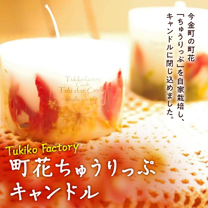 【ふるさと納税】Tukiko Factory 町花ちゅうりっぷキャンドル F21W-105|北海道今金町