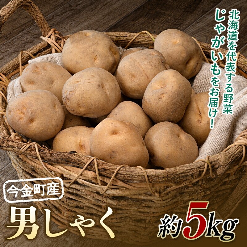 【ふるさと納税】【先行予約】北海道今金町産男爵いも 約5kg 【2025年10月下旬以降順次出荷】 北海道産 じゃがいも ジャガイモ だんしゃく 野菜 ほくほく しっとり 常備野菜  F21W-485