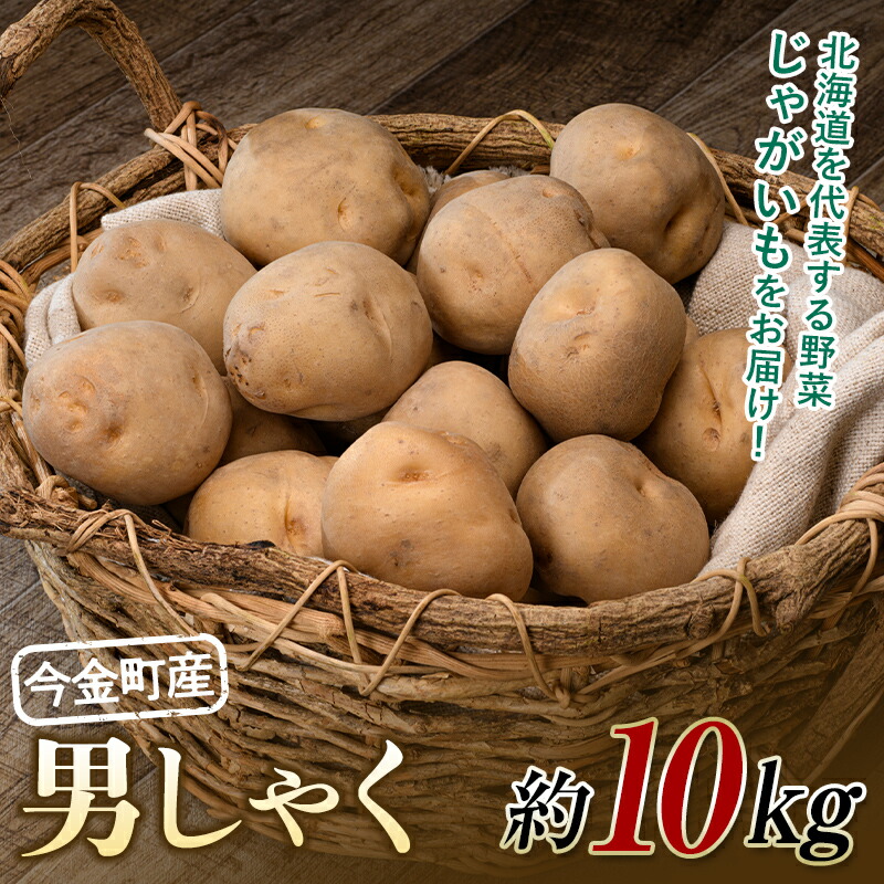 【ふるさと納税】【先行予約】北海道今金町産男爵いも 約10kg 【2025年10月下旬以降順次出荷】 北海道産 じゃがいも 男爵 だんしゃく 芋 いも イモ ほくほく しっとり 常備野菜 北海道産 F21W-486