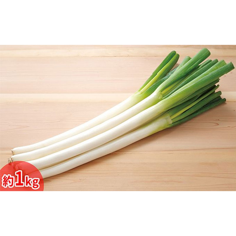楽天市場】【ふるさと納税】今金産軟白長ねぎ 約1kg F21W-247 : 北海道