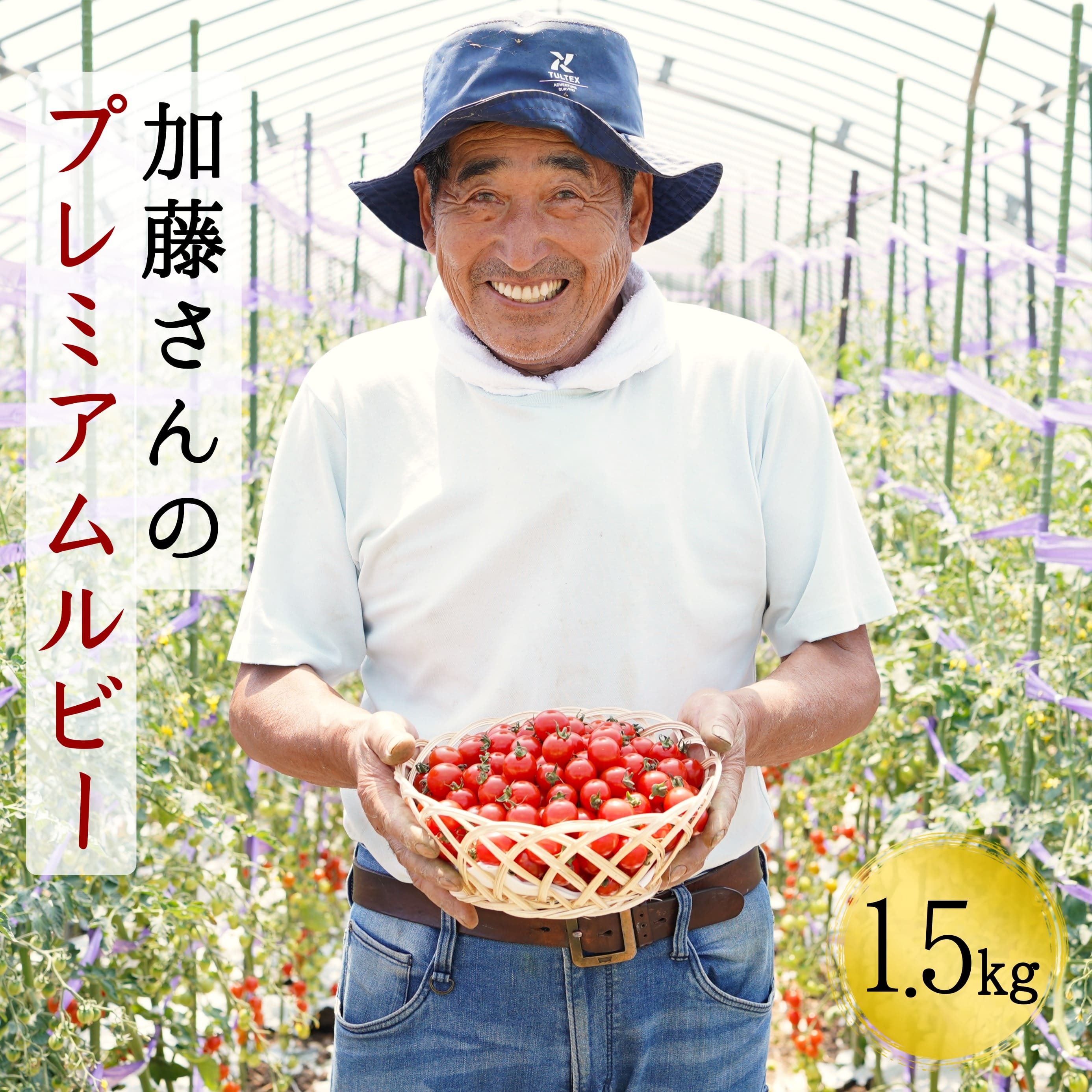 【ふるさと納税】【2025年7月から順次発送】【期間限定】加藤さんのプレミアムルビー 1.5kg 北海道産 高糖度 フルーツ ミニトマト サラダ パスタ スープ お弁当 産地直送 せたな町