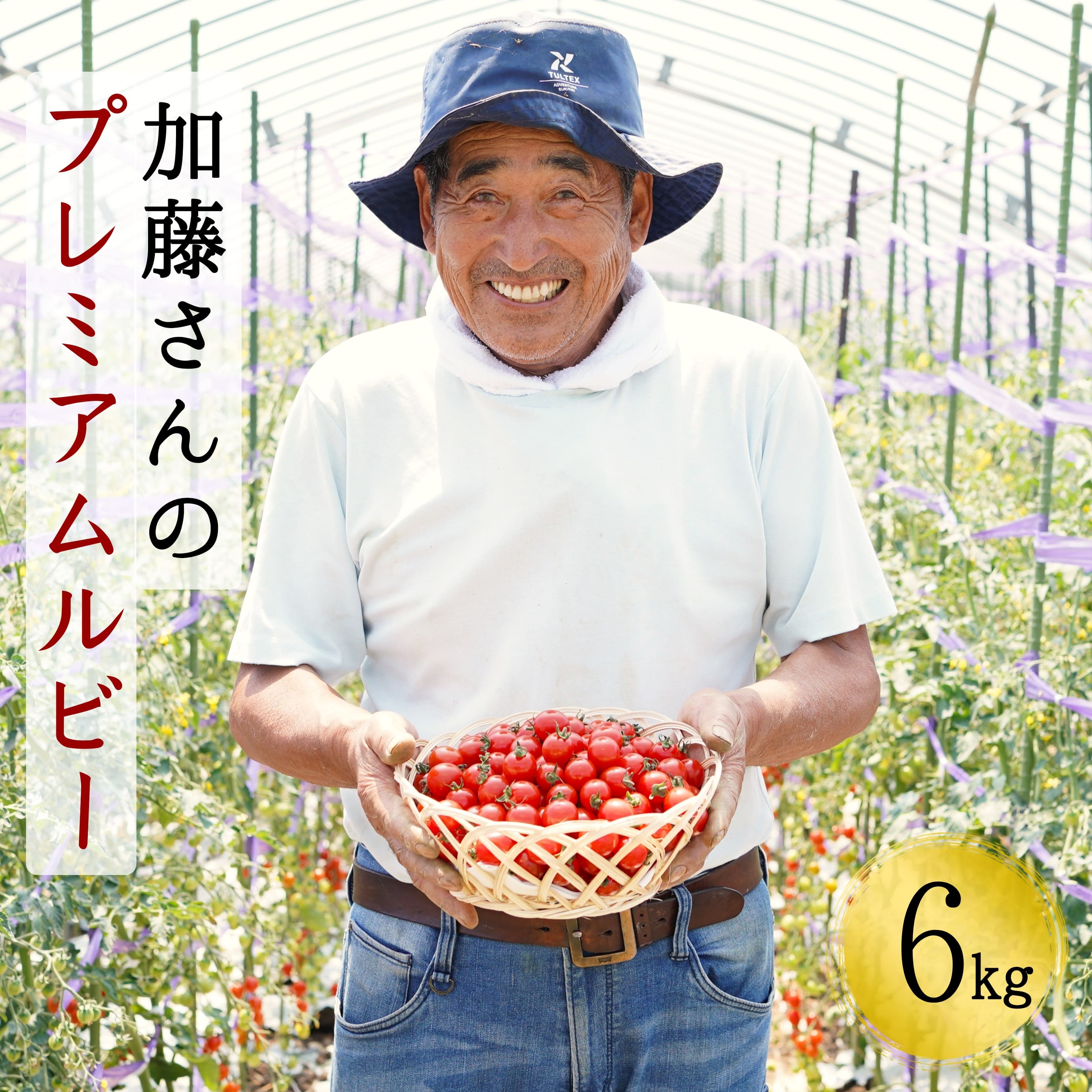 【ふるさと納税】【2025年7月から順次発送】【期間限定】加藤さんのプレミアムルビー 6kg 北海道産 高糖度 フルーツ ミニトマト サラダ パスタ スープ お弁当 産地直送 せたな町