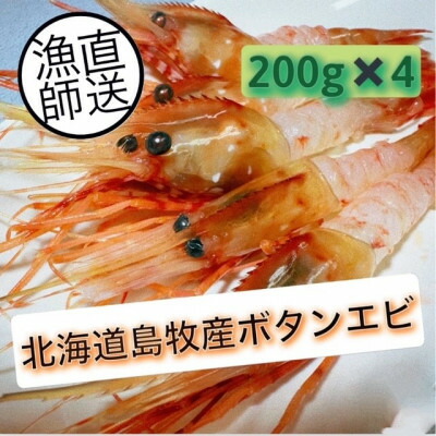 【ふるさと納税】ぷりぷりボタンエビ　北海道日本海ボタンエビ【200g×4】_ ボタンエビ ぼたんえび ボタン海老 牡丹海老 海鮮 エビ えび 海老 冷凍 北海道 日本海 国産 魚介類 刺身 天ぷら おかず おつまみ 肴 【配送不可地域：離島】【1455492】