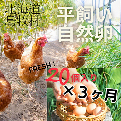 【ふるさと納税】【毎月定期便】自然卵【ハッピーコッコちゃんたまご】20個入り(全3回)【配送不可地域：離島】【4012333】