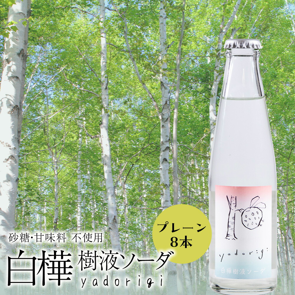 【ふるさと納税】白樺樹液ソーダyadorigi（プレーン）8個 ソーダ 炭酸飲料 ソフトドリンク 炭酸 樹液 飲料類 炭酸飲料 北海道ふるさと納税 ふるさと納税 北海道 黒松内町 通販 ギフト 贈答品 贈り物