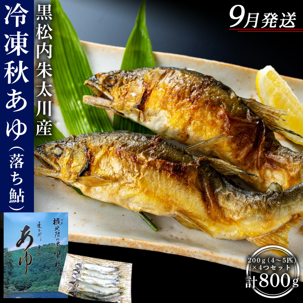 【ふるさと納税】【2026年9月発送】【先行予約】黒松内朱太川産 冷凍秋あゆ（落ち鮎）セット（200ｇ×4つ 計800ｇ）【数量限定】 天然 あゆ 秋鮎 冷凍 落ち鮎 真空パック さび鮎 北海道ふるさと納税 ふるさと納税 北海道 黒松内町 通販 ギフト 贈答品 贈り物
