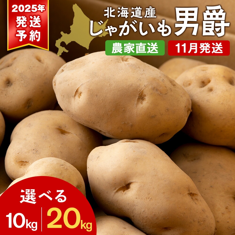 【ふるさと納税】【北海道黒松内産】2025年秋出荷予約 じゃがいも（男爵）選べる10kg～20kg 農家直送 ジャガイモ 芋 男爵いも 北海道 先行予約<br>じゃがいも 芋 男爵芋 男爵 いも 野菜 北海道ふるさと納税 ふるさと納税 北海道 黒松内町 通販 ギフト 贈答品 贈り物